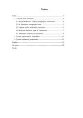 Montessori metodika matematikos pamokose