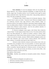 Montessori metodika matematikos pamokose 2 puslapis