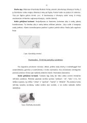 Montessori metodika matematikos pamokose 11 puslapis
