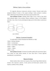 Montessori metodika matematikos pamokose 12 puslapis