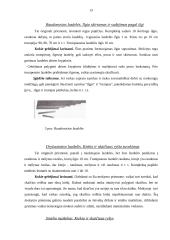 Montessori metodika matematikos pamokose 13 puslapis