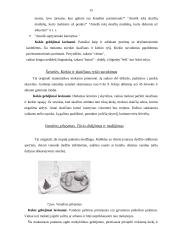 Montessori metodika matematikos pamokose 15 puslapis