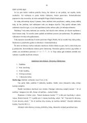 Montessori metodika matematikos pamokose 16 puslapis