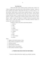 Montessori metodika matematikos pamokose 17 puslapis