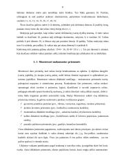 Montessori metodika matematikos pamokose 8 puslapis