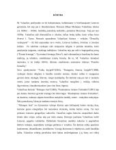 Motiejaus Valančiaus asmenybė 8 puslapis