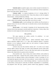 Muilo savybės ir rūšys 7 puslapis