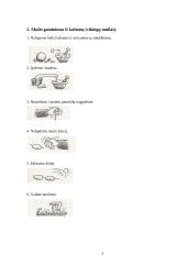 Muilo savybės ir rūšys 9 puslapis