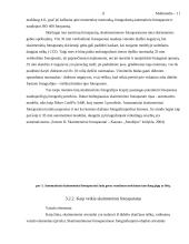 Multimedijos 11 puslapis