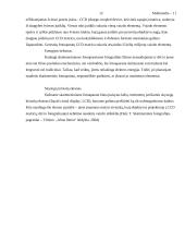 Multimedijos 12 puslapis