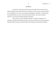 Multimedijos 14 puslapis