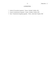 Multimedijos 15 puslapis