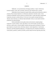 Multimedijos 3 puslapis