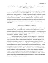 Multimedijos 4 puslapis