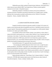 Multimedijos 5 puslapis