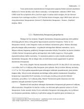 Multimedijos 10 puslapis