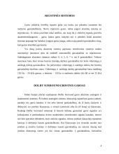 Multimedijos sistemos įranga 4 puslapis