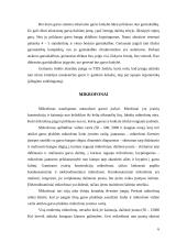 Multimedijos sistemos įranga 6 puslapis