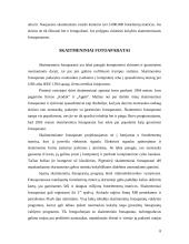 Multimedijos sistemos įranga 8 puslapis