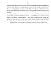 Multimedijos sistemos bei įranga 13 puslapis