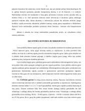 Multimedijos sistemos bei įranga 4 puslapis