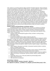 Muzikinio ugdymo didaktiniai aspektai priešmokykliniame amžiuje 3 puslapis