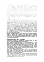 Nafta Lietuvoje, jos produktai 8 puslapis