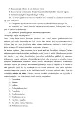 Narkomanija Lietuvoje 13 puslapis