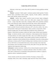 Narkotikai, narkotikų rūšys, poveikis bei vartojimo priežastys 4 puslapis