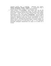 Naujausi informacijos kaupikliai 9 puslapis