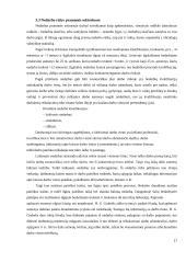 Nedarbo lygio kitimas pramonės sektoriuose 1990-2010 metais 16 puslapis