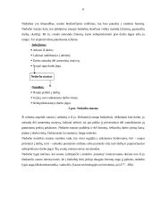 Nedarbo lygis ir bedarbių skaičius Lietuvos apskrityse 6 puslapis