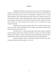 Nedrausmingo mokinių elgesio priežastys 2 puslapis