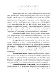 Nedrausmingo mokinių elgesio priežastys 3 puslapis