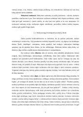 Nedrausmingo mokinių elgesio priežastys 5 puslapis