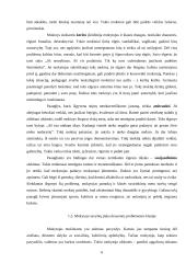 Nedrausmingo mokinių elgesio priežastys 6 puslapis