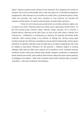 Nedrausmingo mokinių elgesio priežastys 7 puslapis