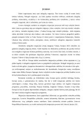 Nelegali imigracija. Teisinis aspektas 3 puslapis