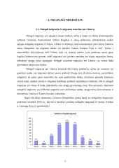 Nelegali imigracija. Teisinis aspektas 5 puslapis