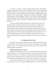 Nelegali imigracija. Teisinis aspektas 6 puslapis