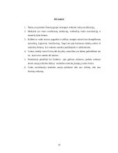 Netekties įtaka vaiko socializacijai 9 puslapis