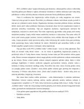 Nevyriausybinių organizacijų vaidmuo teikiant socialines paslaugas 7 puslapis