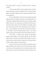 Normos ir taisyklės kaip visuomenės sąrangą garantuojantys veiksniai 17 puslapis