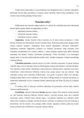 Notariatas 11 puslapis