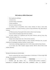 Notariatas 19 puslapis