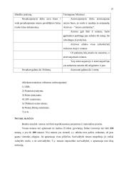 Notariatas 20 puslapis