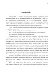 Notariatas 6 puslapis