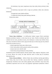 Notariatas 9 puslapis