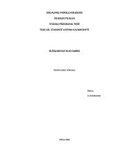 Nušalinimas nuo darbo pagal DK