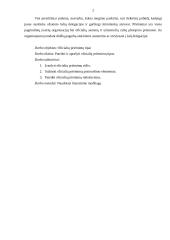 Oficialių priėmimų tipai 2 puslapis